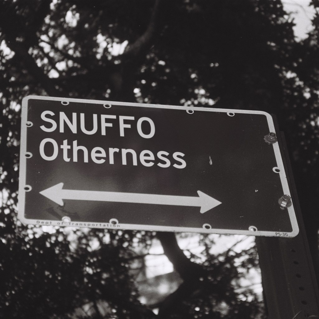 »Otherness« ist das neue Album von Snuffo